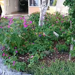 With A Parking Space Podgora, Makarska - 12306 Lejlighed *